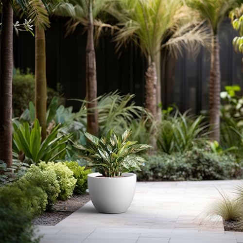 Kante Large Round Bowl White Concrete Planter 10.6" Tall, Outdoor - color: White, size: 14.2"w x 10.6"h
