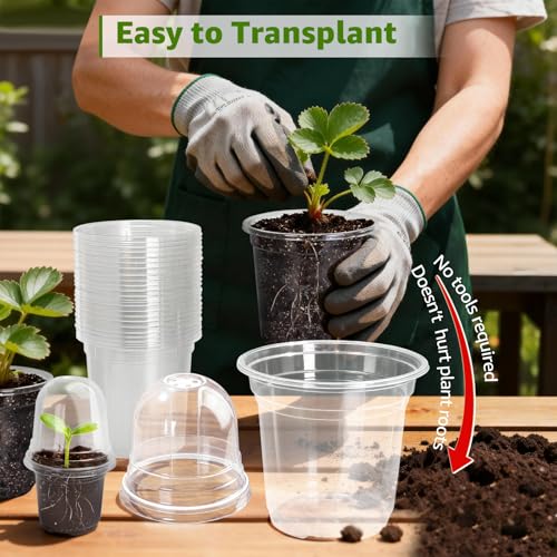 MIXC Clear Nursery Pots with Humidity Domes, 5/4/3.5 Inch 30 Pack - color: Transparent, size: 3.5/4/5 Inch-with Lid