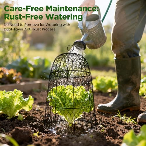6 Pack XL Metal Garden Cloches for Plants, 17" Tall Chicken Wire Cloches - color: Black - 6 Pack