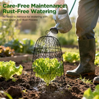 6 Pack XL Metal Garden Cloches for Plants, 17" Tall Chicken Wire Cloches - color: Black - 6 Pack