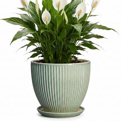 8 Inch Planter, Ceramic Plant Pots with Saucer, Green - color: Green, size: 8 Inch