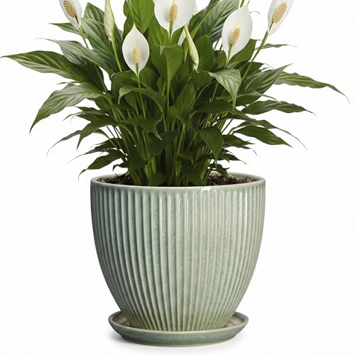 8 Inch Planter, Ceramic Plant Pots with Saucer, Green - color: Green, size: 8 Inch