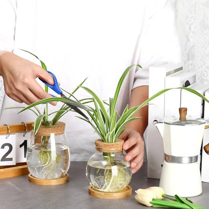 6 Pcs Glass Plant Propagation Station with Wood Lid & Stand, Classic Style - style: Classic