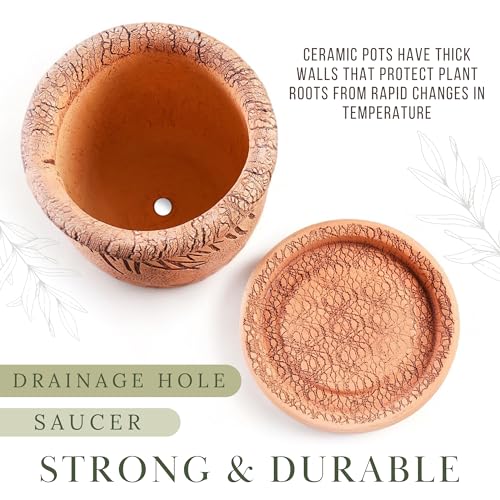 STP GOODS Ceramic Pot with Drainage Hole and Saucer, Plant Pots, Modern Decorative Planters for House Plants Indoor Flowers Plants, Cute Flower Pot - Gifts (Ladybugs (0.7 L)) - color: Ladybugs (0.7 L)