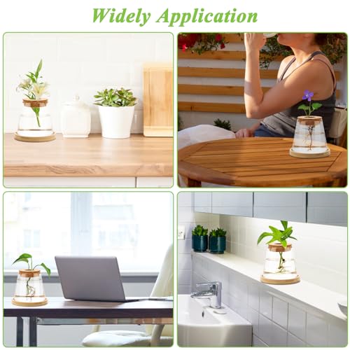 2 Pcs Plants Propagation Station, Desktop Glass Planter Station