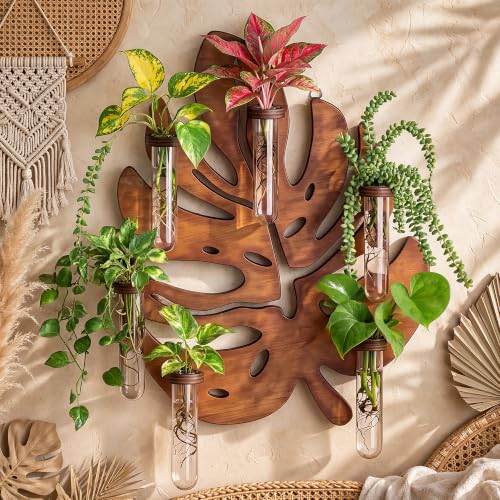Plant Propagation Station, Monstera Hanging Wall Planter with 6 Glass Tubes - size: 1 Pack