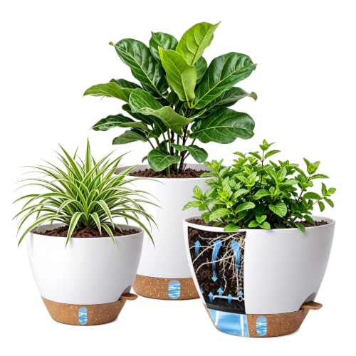 Ecolley Self-Watering Pots for Indoor Plants 3 Pack, 8/10/12 Inch Outdoor Planters with Water Level Indicator & Deep Reservoir, Decorative Flower Pots for Home Decor (White, 8+10+12 Inch) - color: White