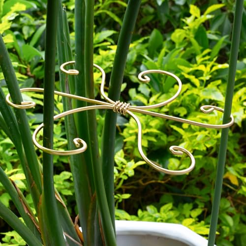 7.5In Monstera Plant Stem Support Hook Set-5PCS Metal stem Holder - size: 7.5 x 7.5 inches