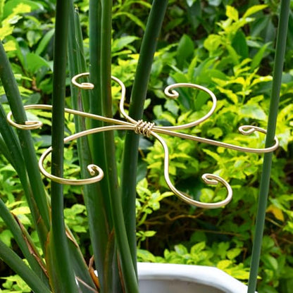 7.5In Monstera Plant Stem Support Hook Set-5PCS Metal stem Holder - size: 7.5 x 7.5 inches