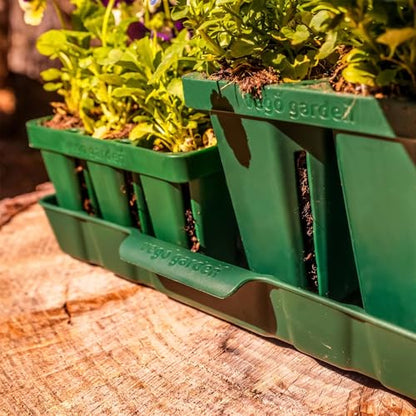 Vego garden Seedling Suite Products, 8 Pack Jumbo Seedling Trays with 10" x 20" Bottom Watering Trays - size: Jumbo