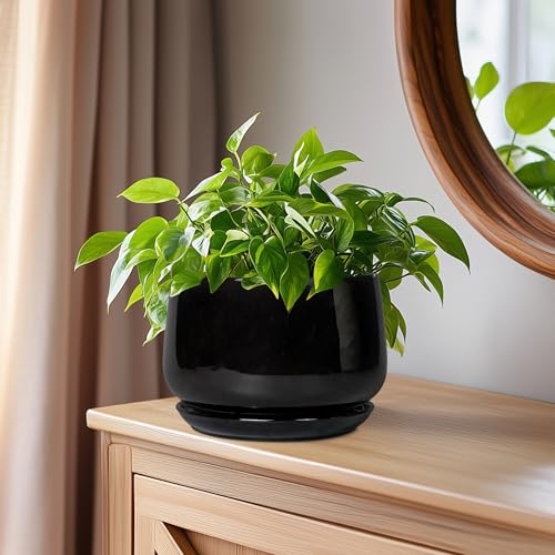 G EPGardening 6 Inch Planter, Ceramic Pot for Plants, Black - color: Black, size: 5 Inch
