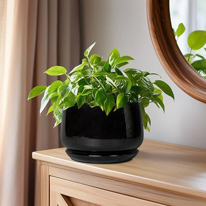 G EPGardening 6 Inch Planter, Ceramic Pot for Plants, Black - color: Black, size: 5 Inch