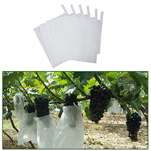 Fruit Protection Paper Bags - 50pcs White Cover Bags, 9.4x12.6in, Protect Fruit Trees, Grapefruit, Orchard, Frost - size: 25x32 cm