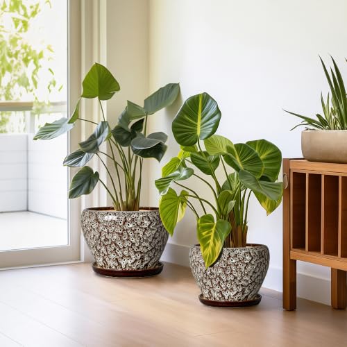 10+8+6 Inch Plant Pot, Ceramic Pots for Plants, White Leopard - color: Leopard White