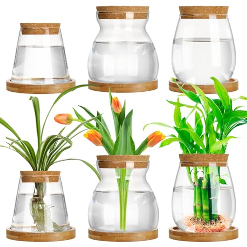 6 Pcs Glass Plant Propagation Station with Wood Lid & Stand, Novel Style - style: Novel Style
