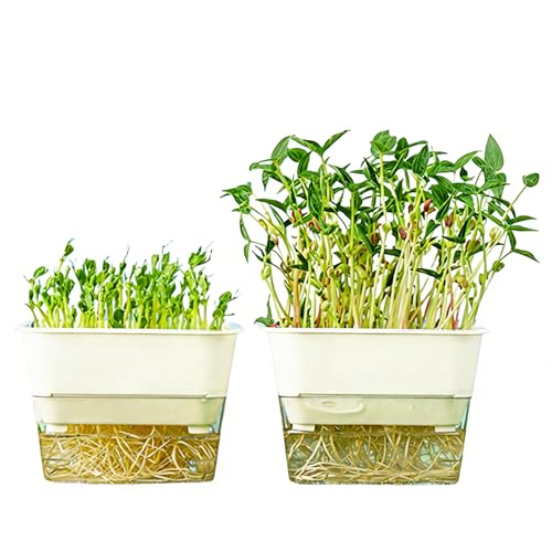 QISHENG - 4 Pack Microgreens Grow Kit,Soil-Free Cultivation Germination Tray,BPA-Free Indoor Sprouting Kit for Growing Bean Sprouts/Organic Seeds/Broccoli/Alfalfa/Radish/Clover (Beige)