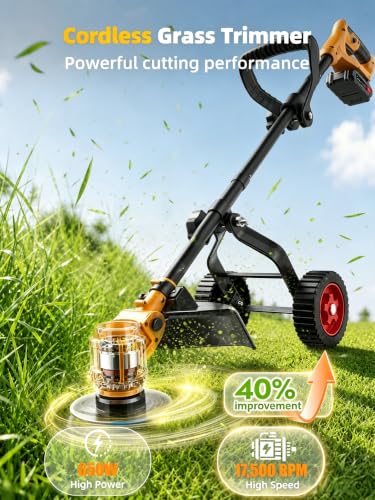 12-Inch Cordless Weed Wacker and Lawn Edger