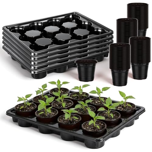 Lounsweer 6 Sets 4 Inch Plant Nursery Pots 72 Pcs and 12 Cell Plant Seed Starter Trays 6 Pcs, Sturdy Seeds Starting Germination Shuttle Carrying Trays, Small Planter Nursery Propagation(Black) - color: Black