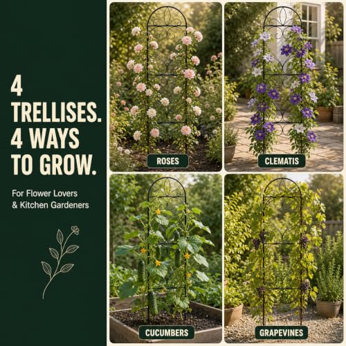 4 Pack Q195 Metal Garden Trellis for Climbing Plants, 66 x 13in - color: black-4pc