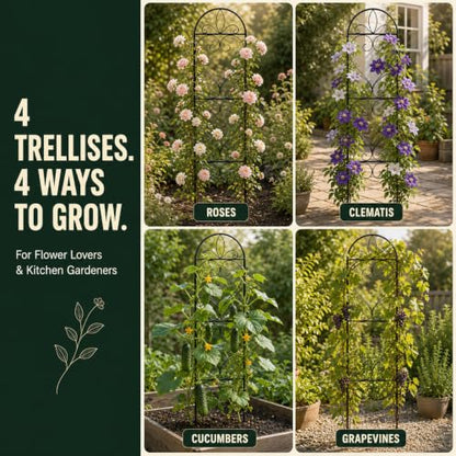 4 Pack Q195 Metal Garden Trellis for Climbing Plants, 66 x 13in - color: black-4pc