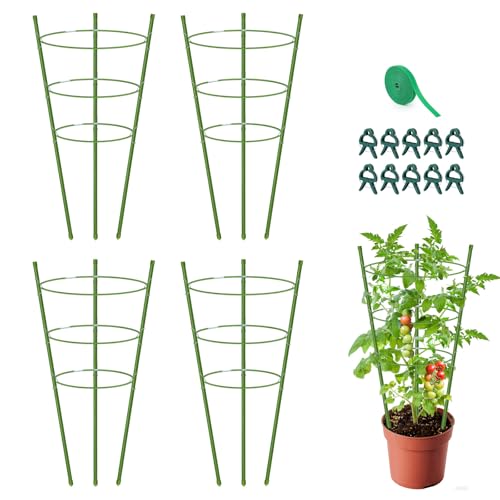 4 Pack Garden Tomato Cage for Pots, 24" Metal Tomatoes Cages Plant Support with Stable Support Rings (24") - size: 24"