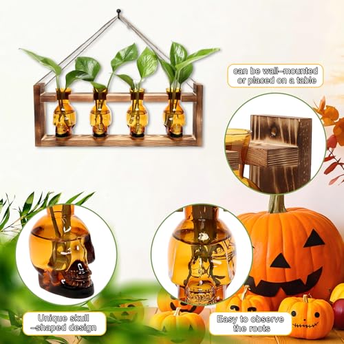 Plant Propagation Stations Halloween Skull Plant Terrarium Kit - color: Amber