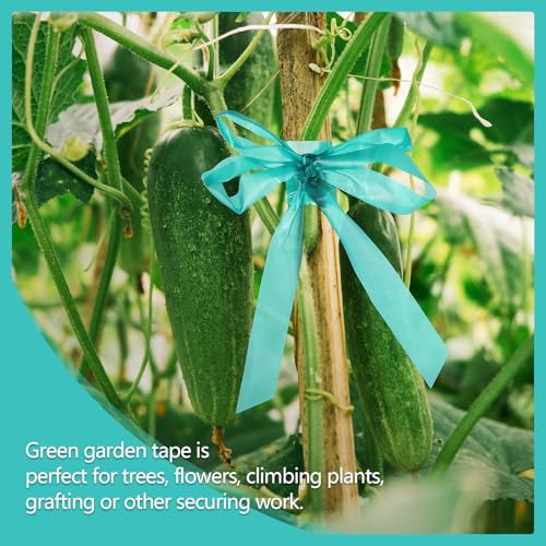 300FT Stretch Tie Tape Roll, 1'' Plant Tape Green Stretch Garden Tie - size: 1in/300ft