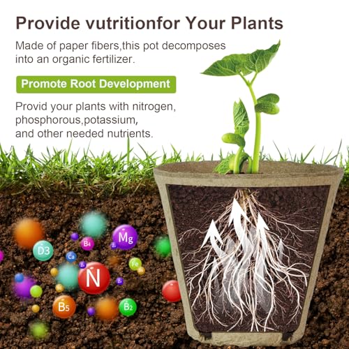 12 Pcs Peat Pots, Biodegradable Pots for Seedlings with Drain Holes, Garden Plant Nursery Pots for Plants, Vegetables,Fruits and Herb (12)