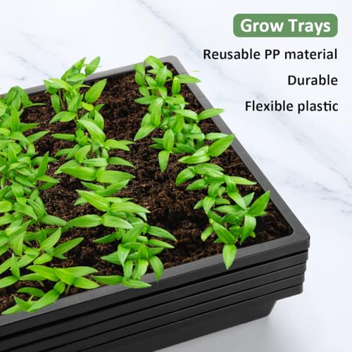 RooTrimmer 1020 Flat Seed Starter Trays 10 Pack, Plastic Nursery Pots Trays & Seeds Potting Plants Tray, Durable Carrying Seedling Starting Tray for Planting (Black) - color: Black, size: TP1020-10P