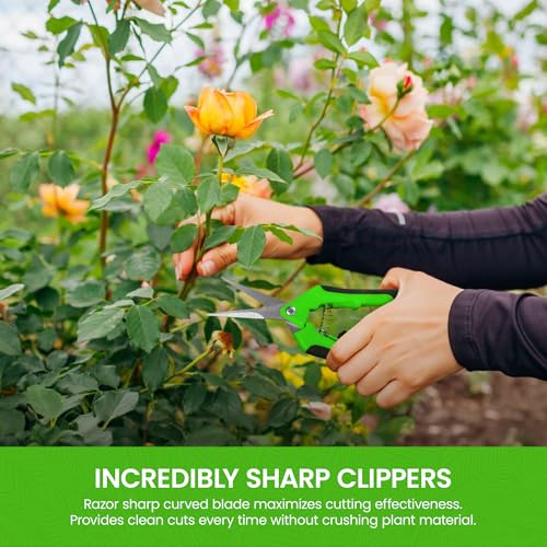Garden Guru Razor Sharp Snip - Professional Garden Pruning Shears Trimmers Scissors – Micro-Tip Precision Stainless Steel Blades - Easy on Arthritic Hands - Soft Ergonomic Rubber Handles (4 Pack) - size: 4 Pack, style: Snips