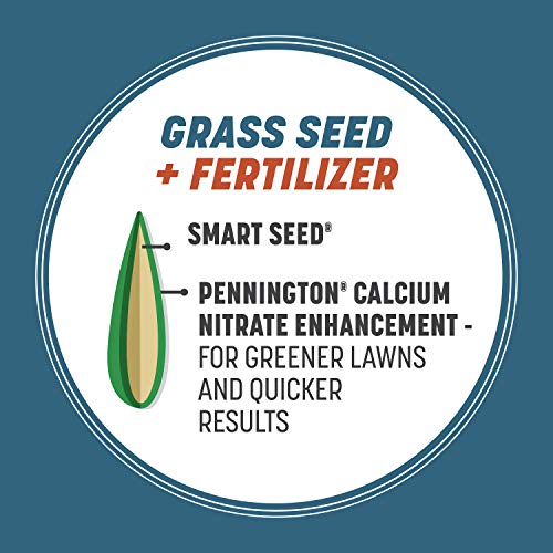 Pennington Smart Seed Northeast Mix 20lb, Grass Seeds for Lawn - size: 20 lb