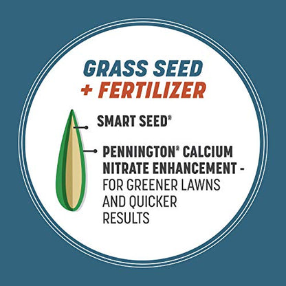 Pennington Smart Seed Northeast Mix 20lb, Grass Seeds for Lawn - size: 20 lb