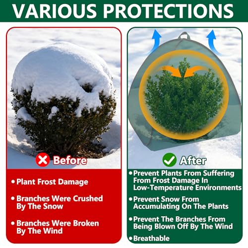 2 Pcs Pop Up Shrub Covers Frost Protection Tent, 38" x 36" x 36" Winter Plant Cover Freeze Protection, Warm Garden Plant Protector Tent for Protecting Outdoor Shrub Fruit Potted Plants from Snow & Ice - color: 36 x 36 x 38 inch