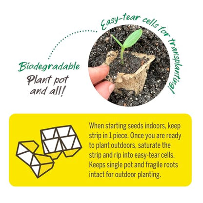 Ferry-Morse Jiffy Seed Starting Strips - Biodegradable, Plant Starter Trays - 100 Strips (1000 Cells) - Peat - color: 100 Strips (1000 Cells Total)