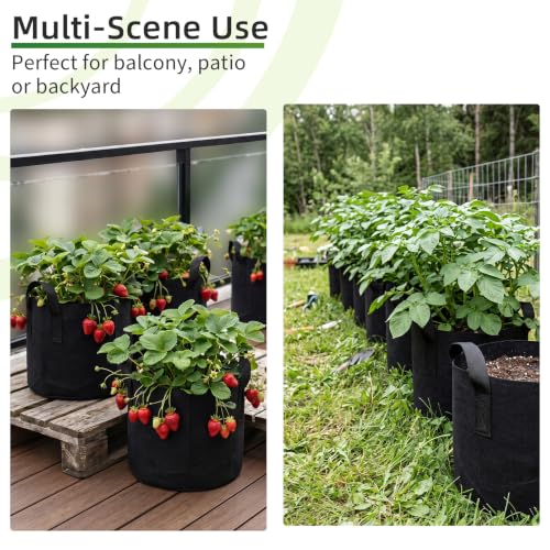 Hoikwo 10-Pack Assorted Sizes Fabric Grow Bags, 5 Pack Each of 5&10 Gallon - size: Multisize-5&10-Each 5 Packs
