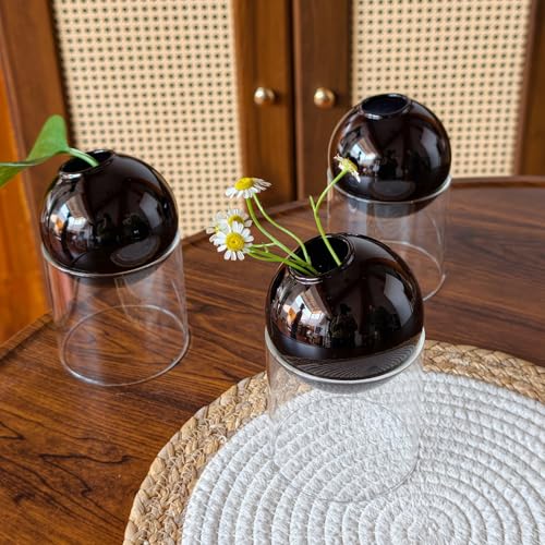 3-Pack Modular Black Glass Vase Set | Minimalist Aesthetics Bud Vase & Desktop Glass Planter with Clear Stand, Small Flower Vase - color: Black*3