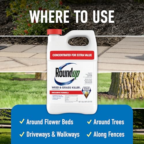 Roundup Weed & Grass Killer4 Concentrate, 1 gal. - size: 1 gal. Conentrate