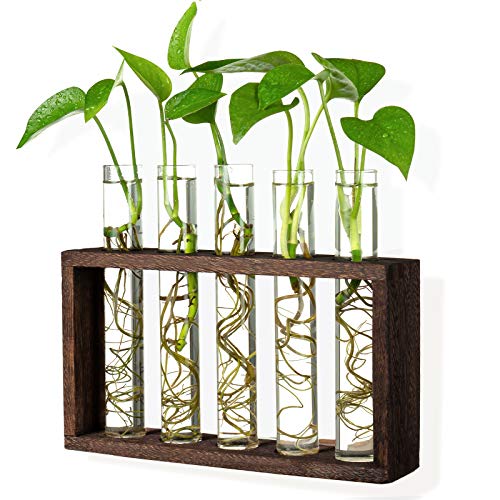 5 Tube Wooden Plant Propagation Station, Tabletop Glass Terrarium Holder for Cuttings Hydroponics, Home Office Desk Decor Gift for Women Mom Plant Lovers, Brown - color: Brown, size: 5 Test Tube