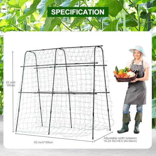 Cucumber Trellis for Raised Bed, 63" Hx63 L, Black - size: 5 x 2 x 5 ft, Arch Tunnel, Black