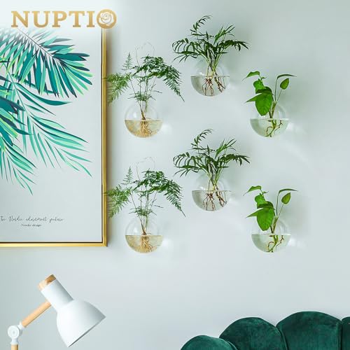 NUPTIO Glass Wall Hanging Planters: Propagation Station for Plants, 6 Pcs - size: 6 Pcs