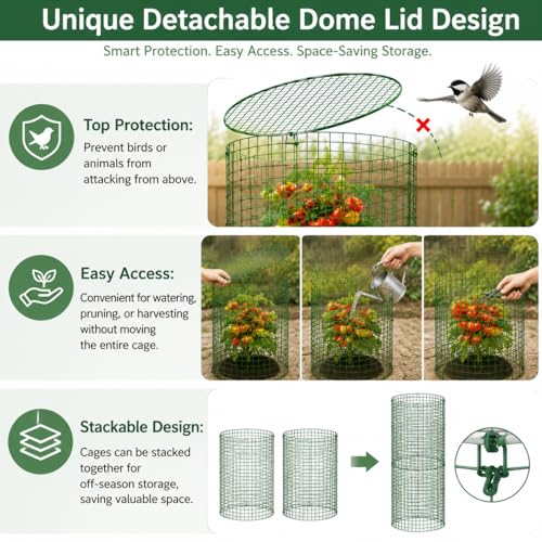 Plant Protectors from Animals 12 x 12 in Metal Chicken Wire Cloche Plant Cages for Outdoor Plants, Garden Fencing Animal Barrier with Detachable Dome Lid, Stakes & Zip Ties (6 Pcs) - color: 6 Pcs