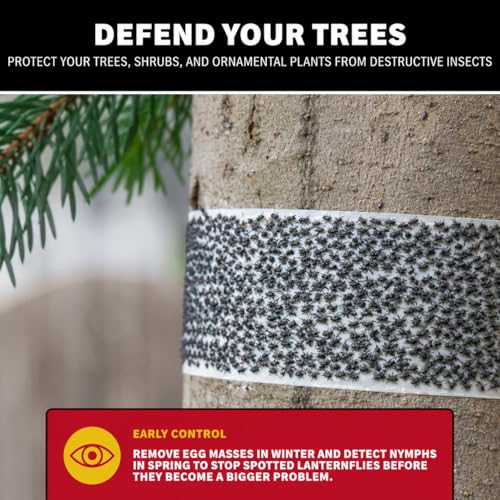 Catchmaster Tree Shield Lantern Fly & Ant Traps Insect Barrier, 12 Rolls 30ft Each, Outdoor Adhesive Crawling Insect Trap to Protect Trees, Fruit & Plants, Pest Control Lawn & Garden (Pack of 2) - size: 12 Rolls (Pack of 2)