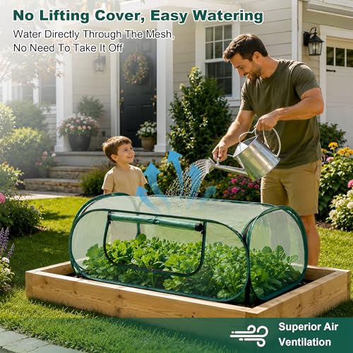 2Pack Pop-Up Mesh Plant Enclosure, Plant Cover for Vegetables Fruits - color: Dark Green