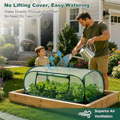 2Pack Pop-Up Mesh Plant Enclosure, Plant Cover for Vegetables Fruits - color: Dark Green