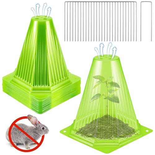 25PCS Garden Cloches for Plants with 50PCS Ground Stakes,Reusable Plant Bell Cover,Plastic Small Plant Seedling Protector Plants Cloches from Animals,Chickens, Birds,Snails & Frost,7.9" H X 6.7" D