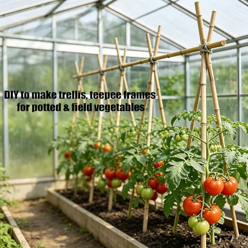 Bamboo Stakes with Jute Twine, 6FT Garden Stakes Multi-Purpose, Plant Stakes for Tomatoes, Beans, Cucumbers, Peppers, Flowers, Potted, Maintain the Plant Posture, Strengthen and Stem