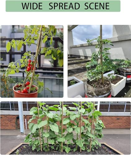 5 Ft Bamboo Stakes with 100 Twist Ties Natural Bamboo Garden Stakes for Dahlias Cucumber Grapes Pole Beans Trees Potted Dahlia Flowers and Climbing Plants - Pack of 60 - size: 58 INCH-60 PACK & Ties