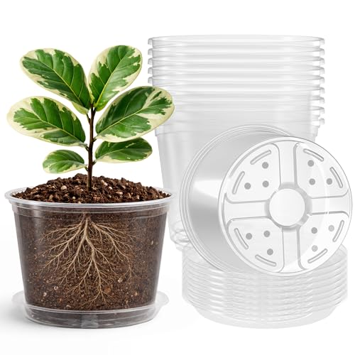 Bluepro Clear Nursery Pots with Saucers, 8 Inch, 8-Pack - size: 8 Inch-8Pcs