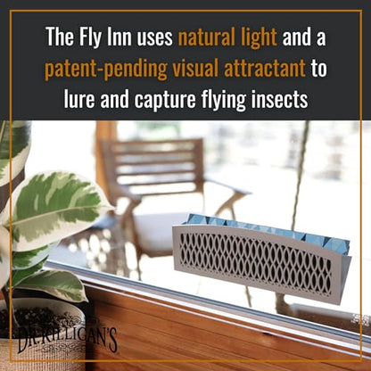 Dr. Killigan's Sticky Window Fly Traps Indoor