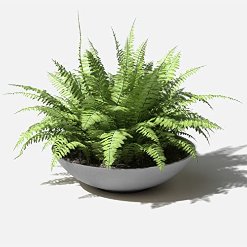 Veradek Mason Series Lane Bowl - Large Outdoor Bowl Planter - color: Gray, size: 6"H x 24"DIA